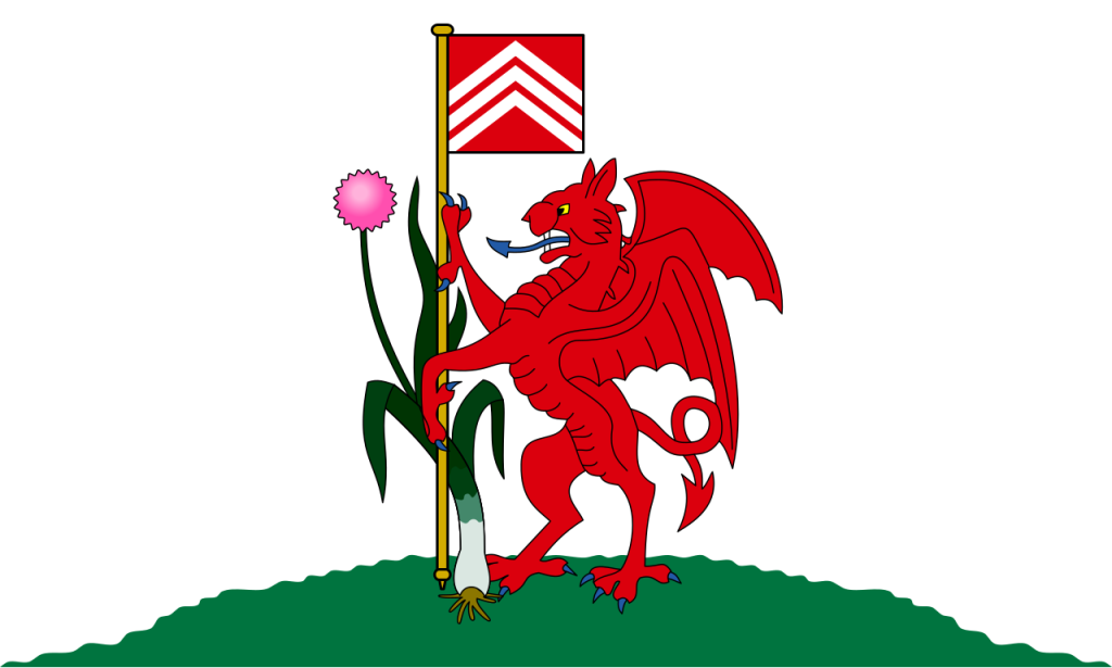 Flag_of_Cardiffsvg - Rapid IPTV